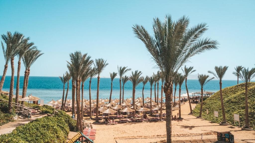 Nubian Island - 39
