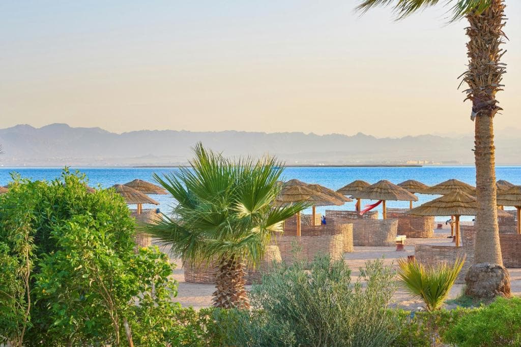Sheraton Soma Bay Resort - 36