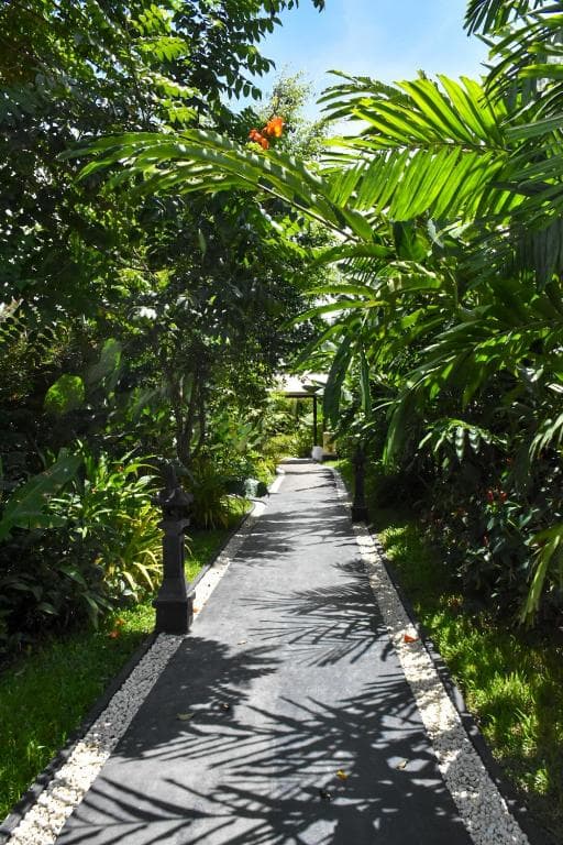 Carpe Diem Villas & Resort - 9