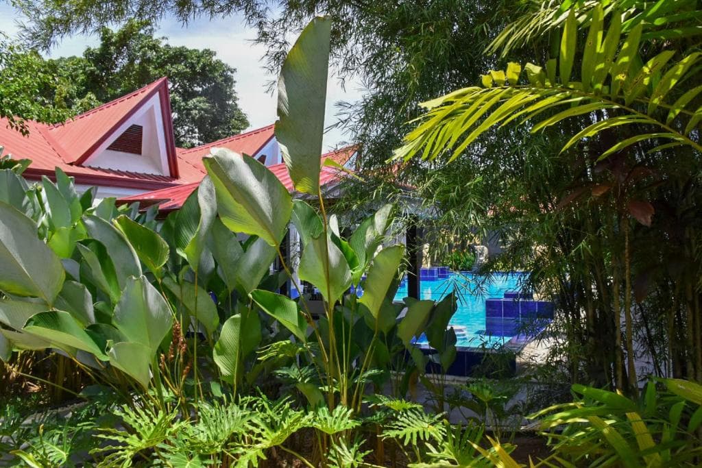 Carpe Diem Villas & Resort - 37