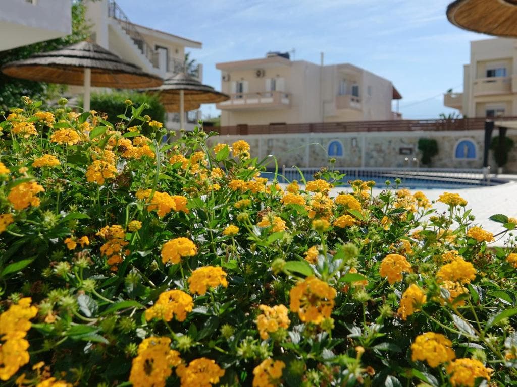 Flamingos Hotel Apartments - 30