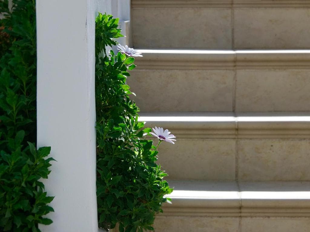 Flamingos Hotel Apartments - 41