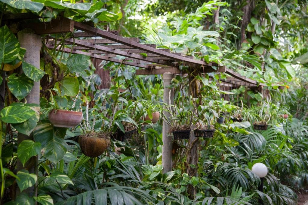 Tropica Bungalow Beach Hotel - 40