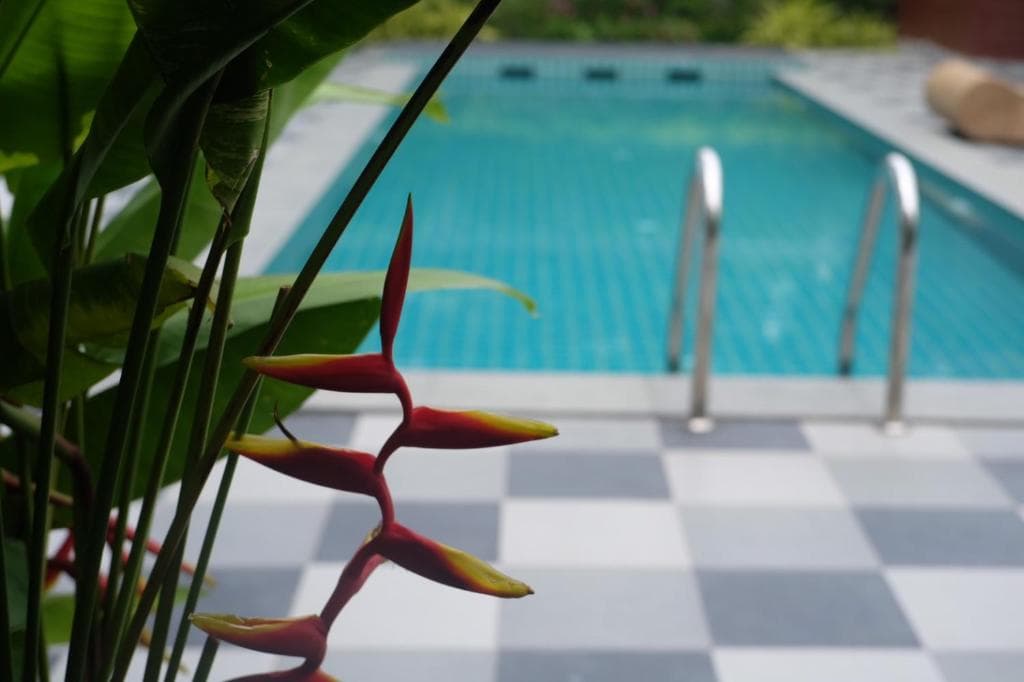 Hotel Big Buddha Hillside - 26