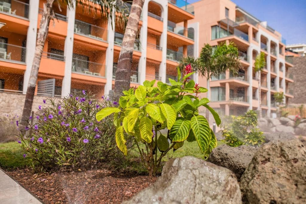 Arguineguín Park By Servatur VV - 27