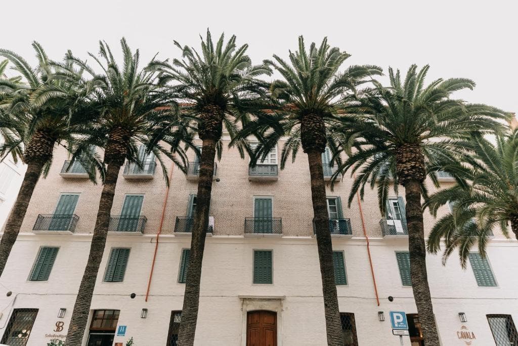 Soho Boutique Colon - 21