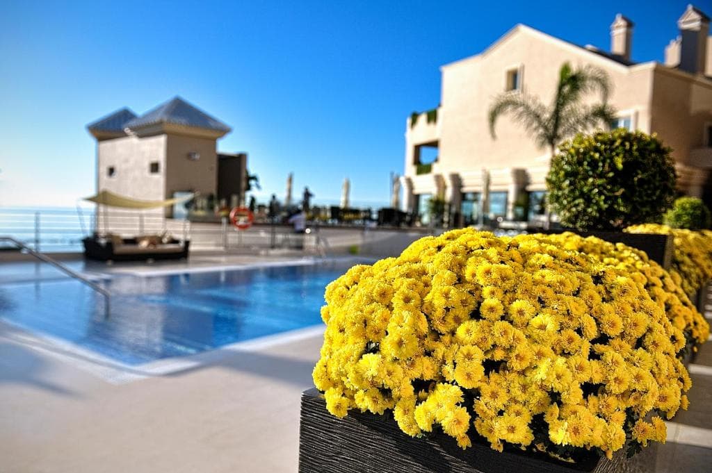 Vincci Seleccion Aleysa - 17