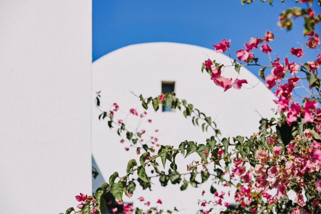 Vedema, a Luxury Collection Resort, Santorini - 44