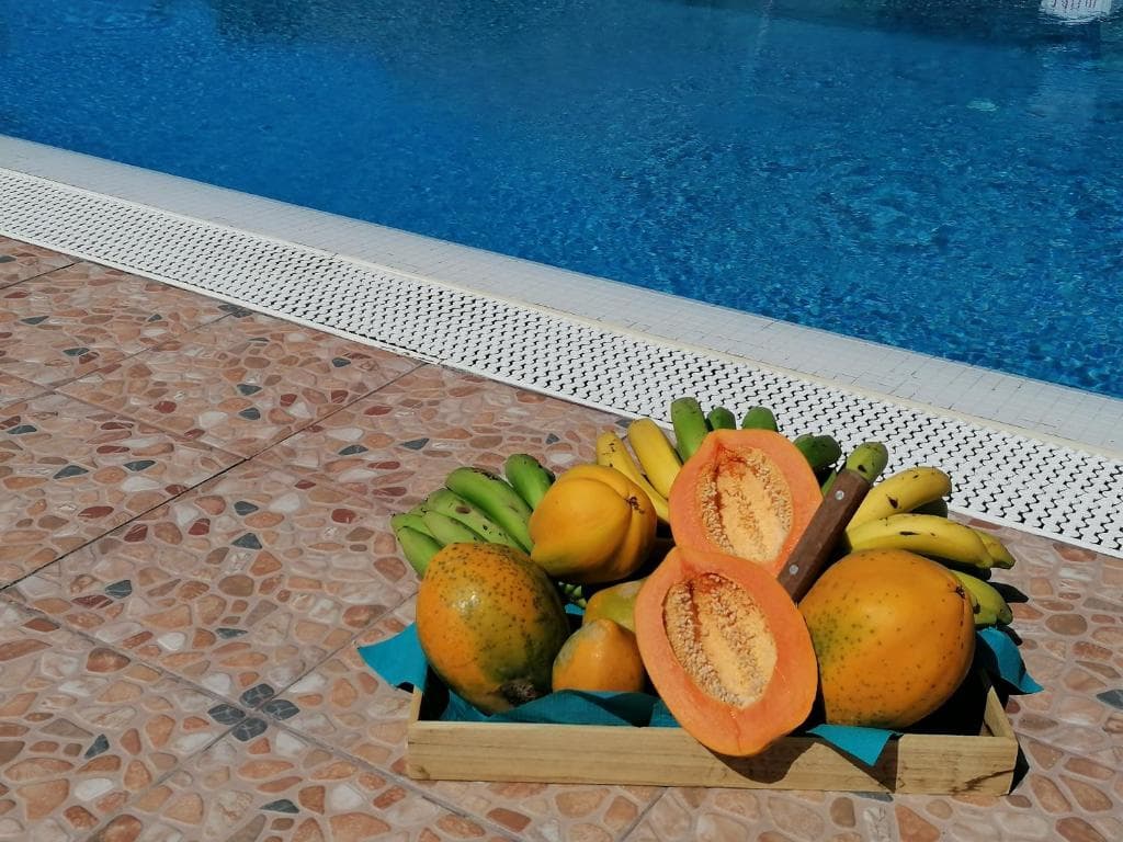 Sol Mogan Suites - Adults Only - 28