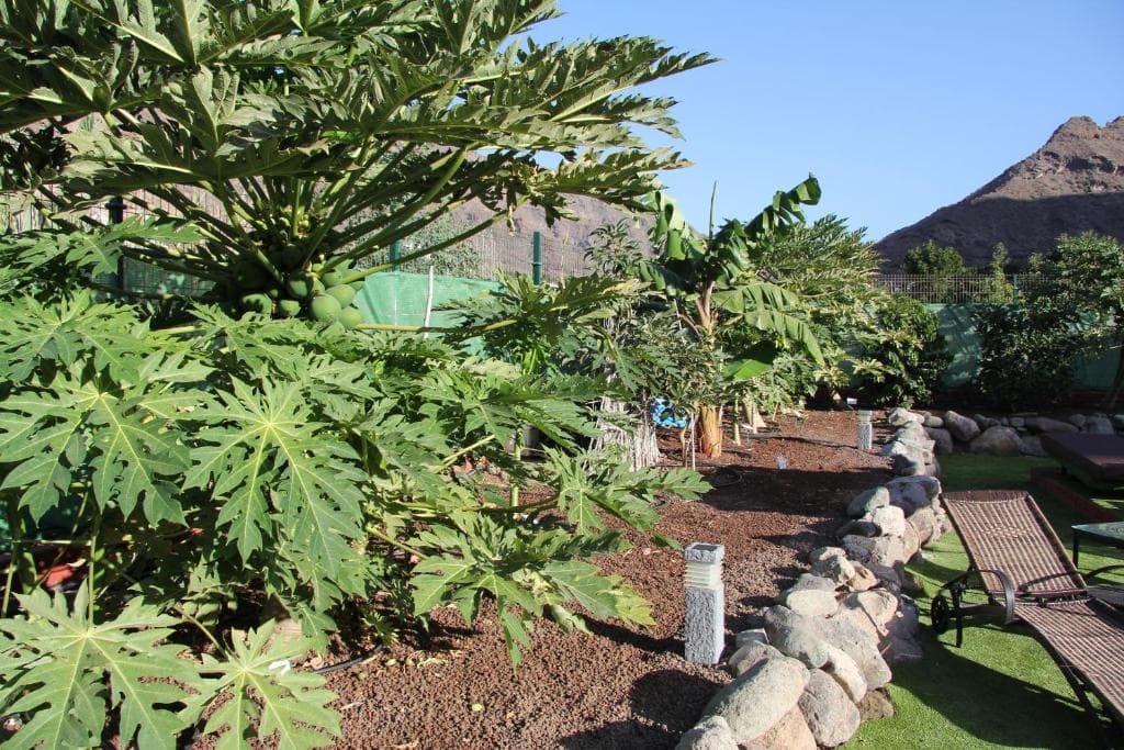 Sol Mogan Suites - Adults Only - 29