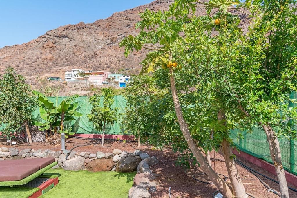 Sol Mogan Suites - Adults Only - 30