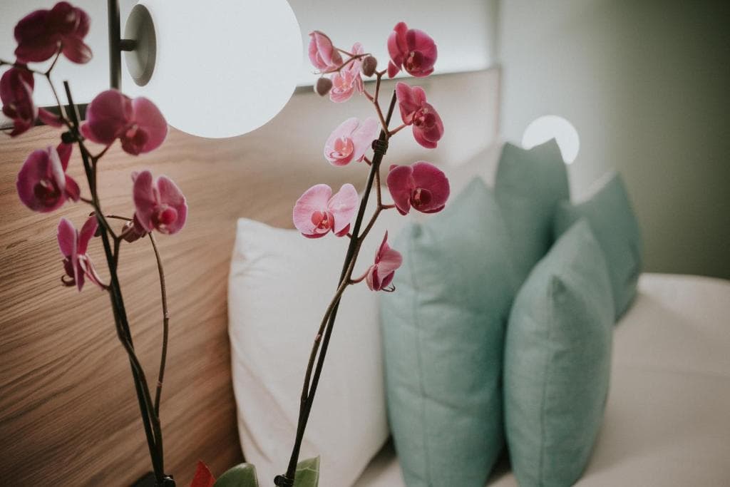 Catalina Plaza Hotel Sostenible - 23