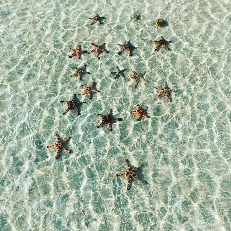 Princesa Garden Island Resort and Spa - 12