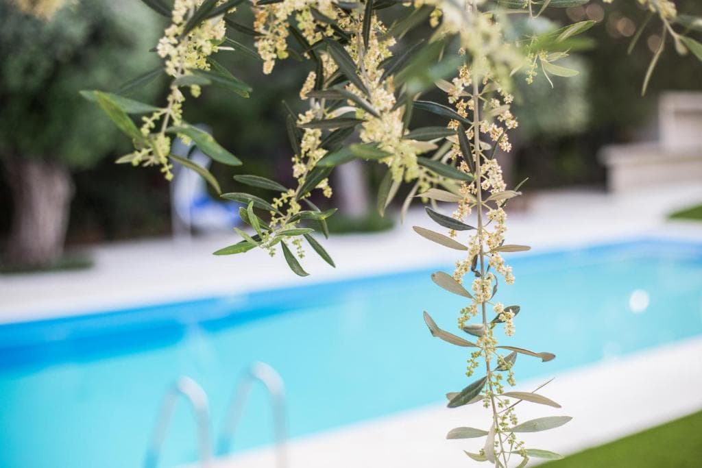 Corina Suites and Apartments - 24