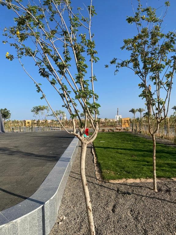The Kaktus Somabay - 28