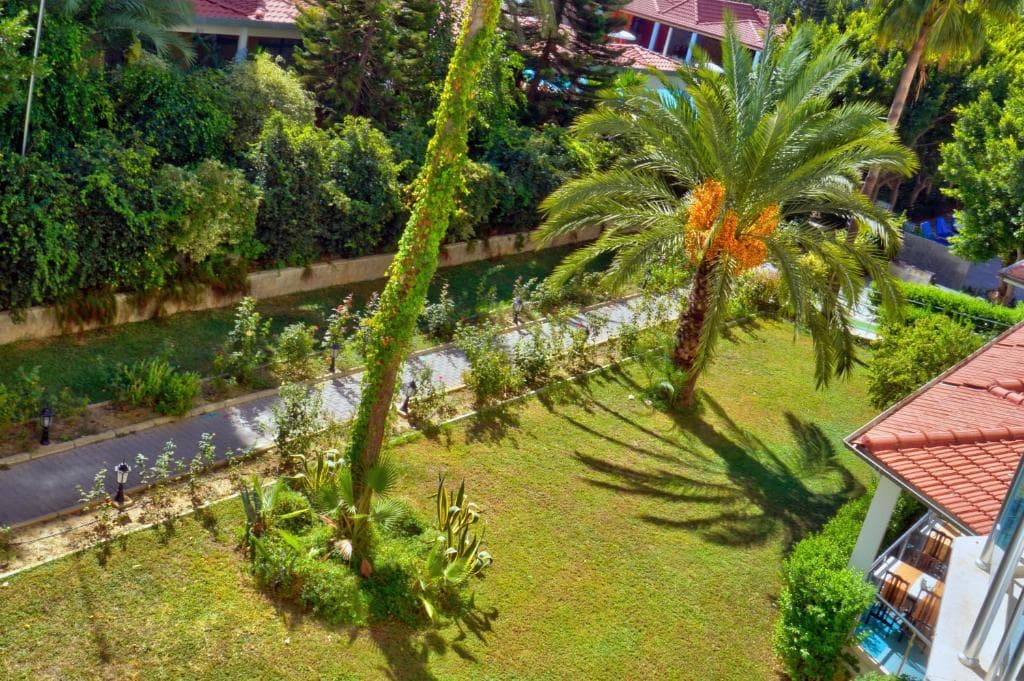 Blue Fish Hotel - 10