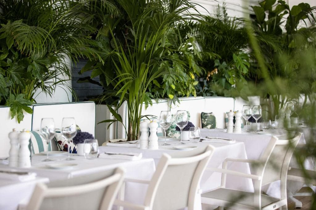 Hotel Le Negresco - 16