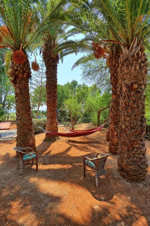 Apollonia Beach Resort & Spa - 25