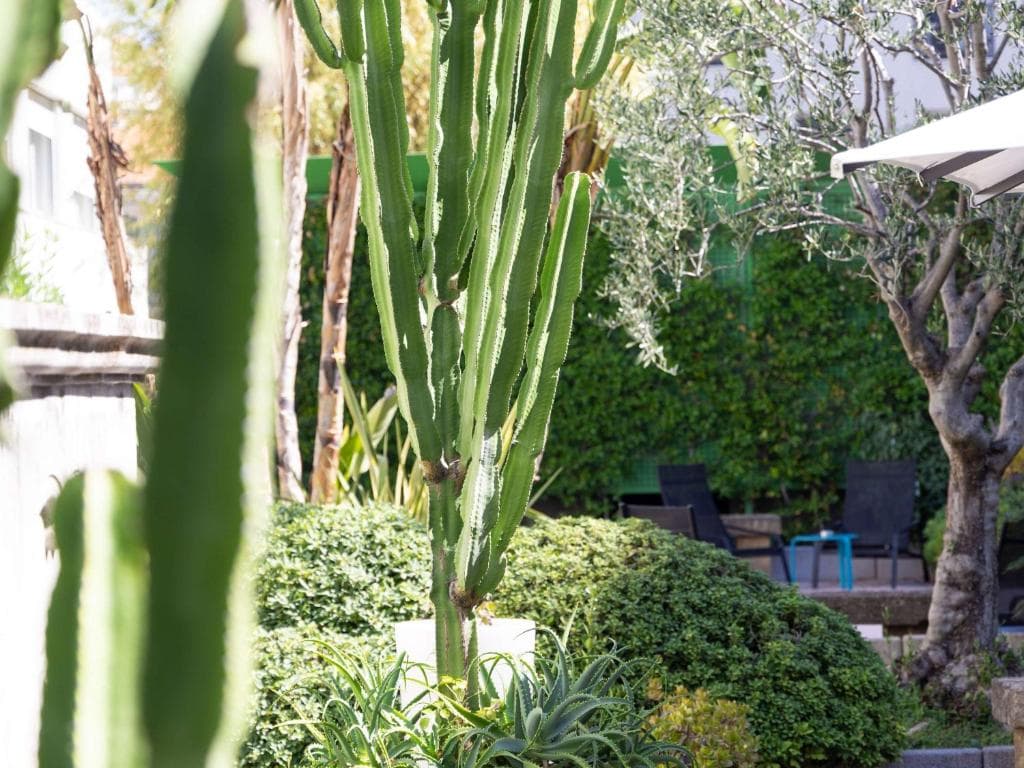 Mercure Nice Centre Notre Dame - 45