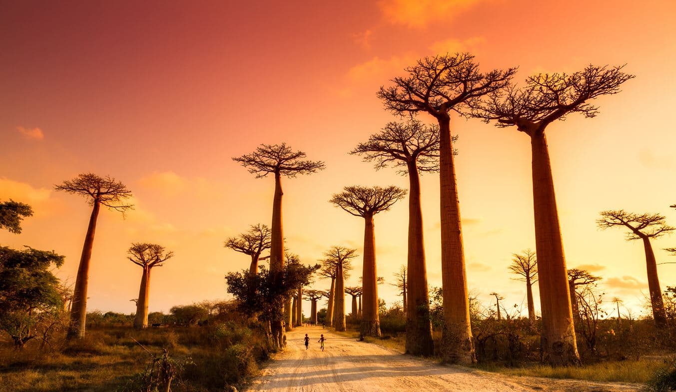 Madagascar