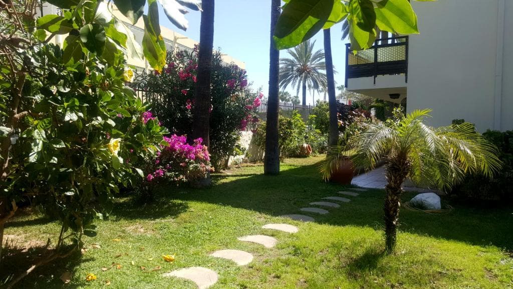 Alsol Nogal- Adults Only - 17