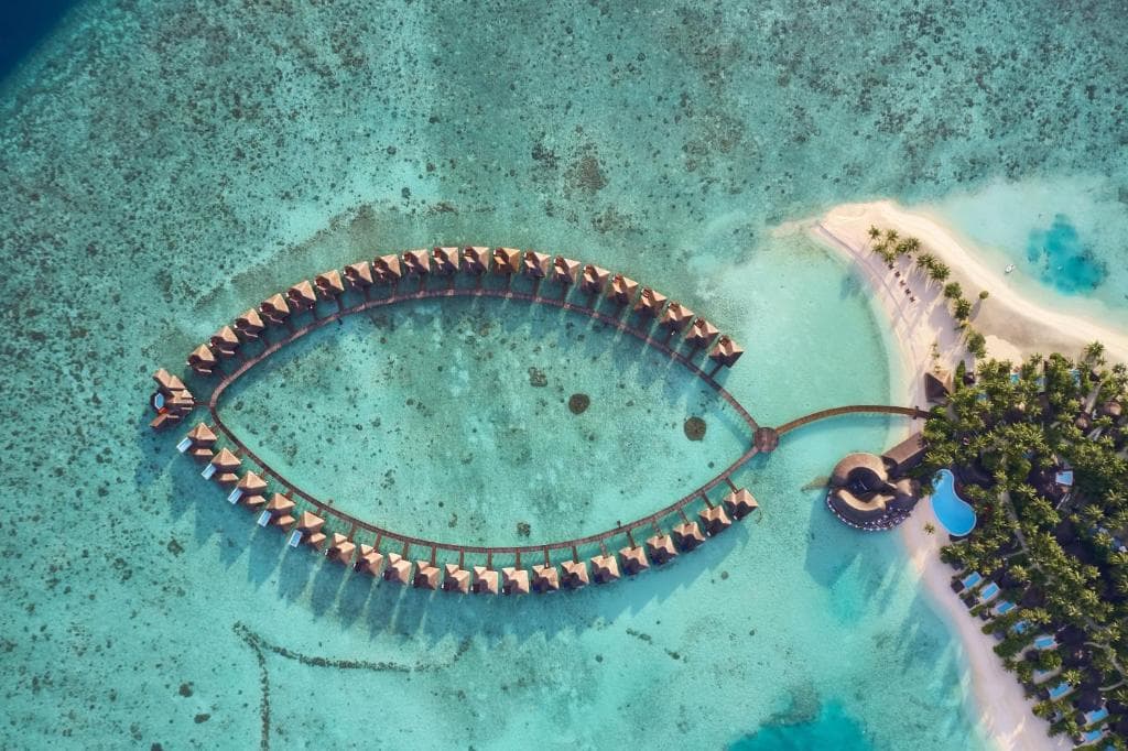 Sejur Maldive - Sun Siyam Vilu Reef - 18