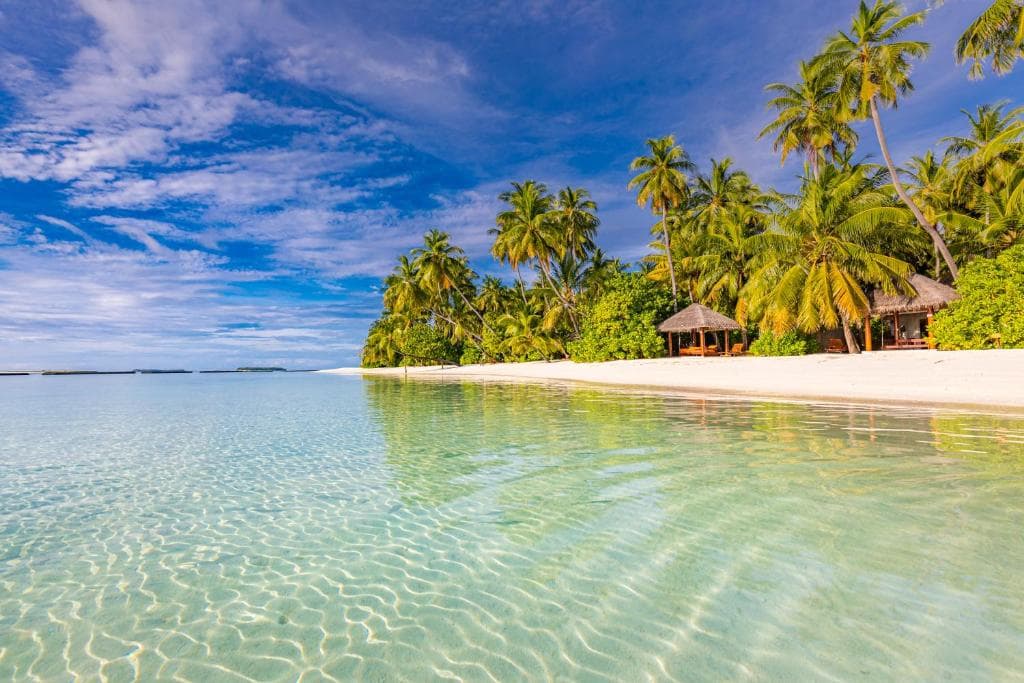 Sejur Maldive - Sun Siyam Vilu Reef - 28