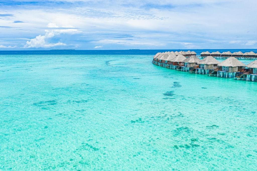 Sejur Maldive - Sun Siyam Vilu Reef - 30