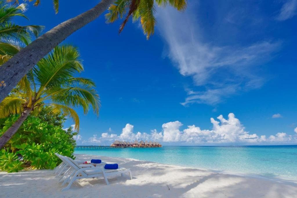 Angaga Island Resort and Spa - 7