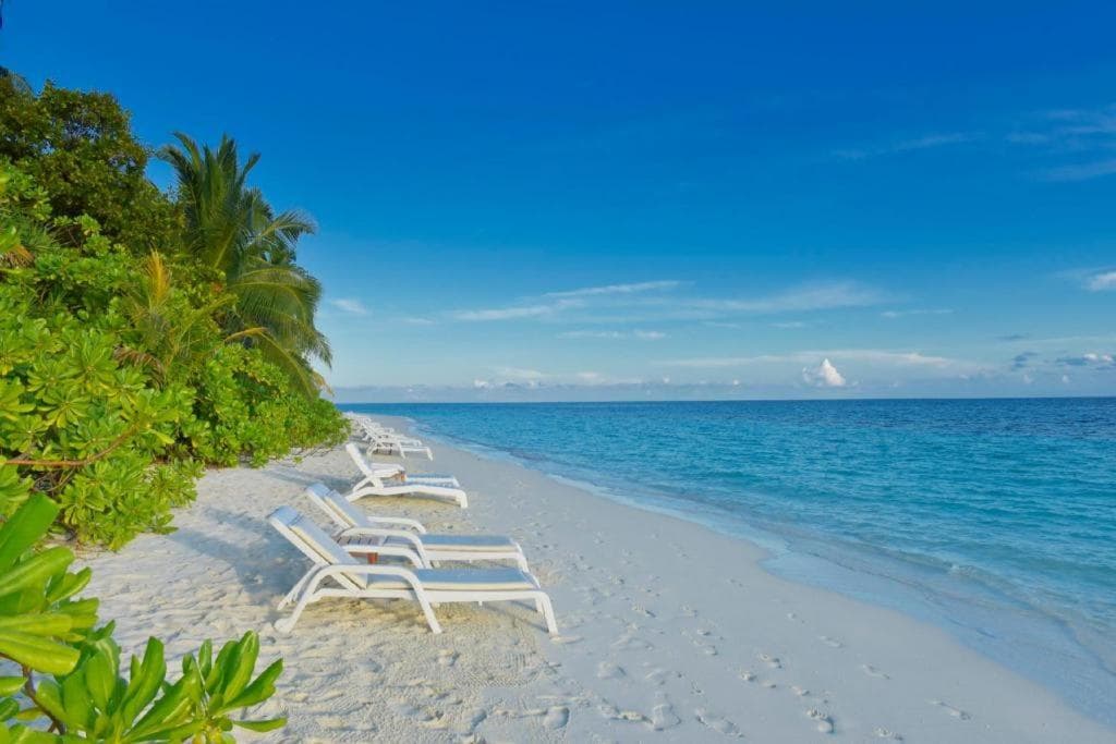 Angaga Island Resort and Spa - 19