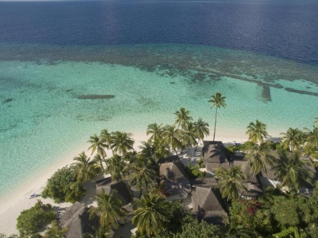 Angaga Island Resort and Spa - 21