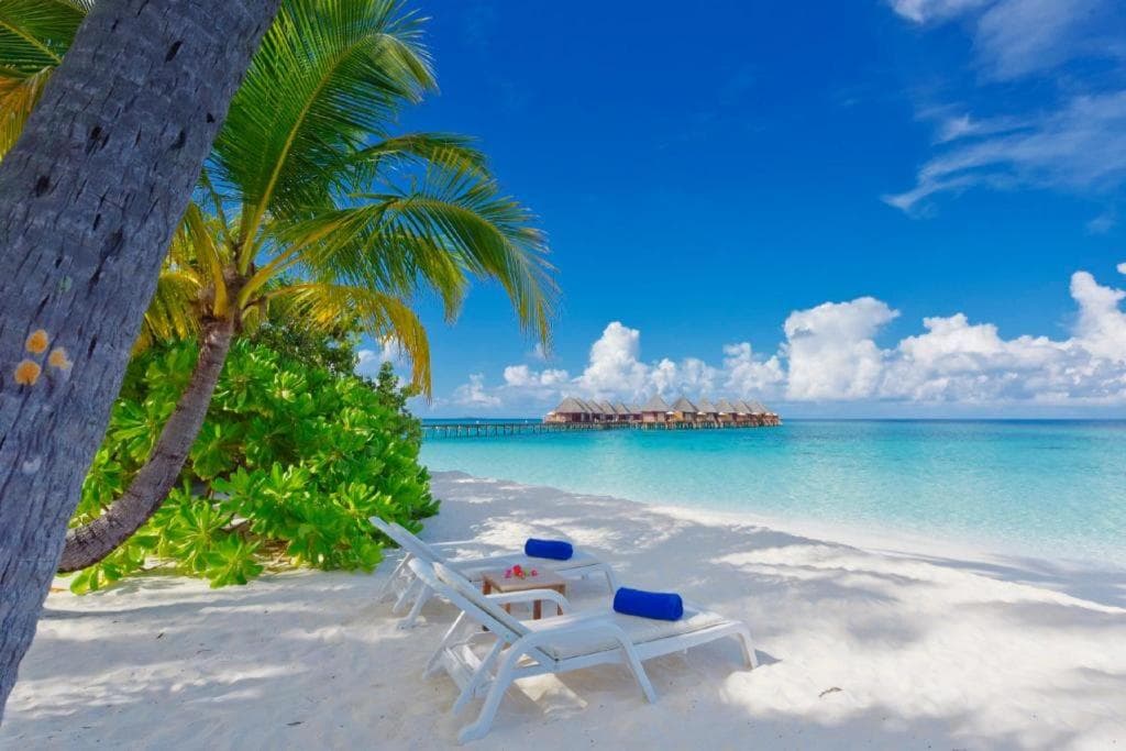 Angaga Island Resort and Spa - 29