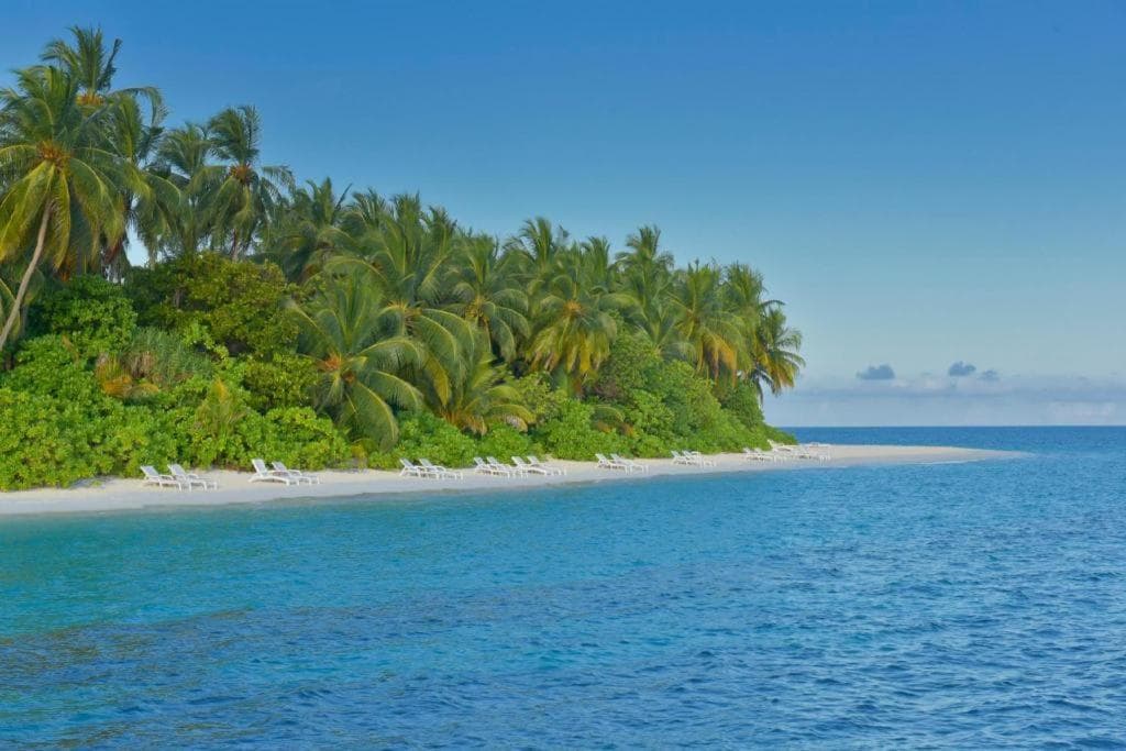 Angaga Island Resort and Spa - 42
