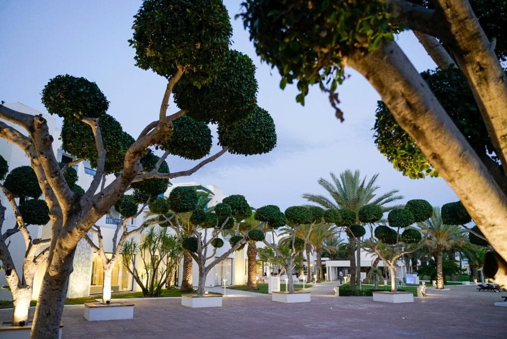 Charter Tunisia - Iberostar Selection Mirage Hammamet - 6