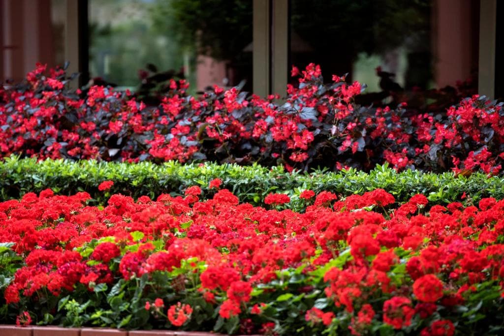 Barut Hotels Arum - 43