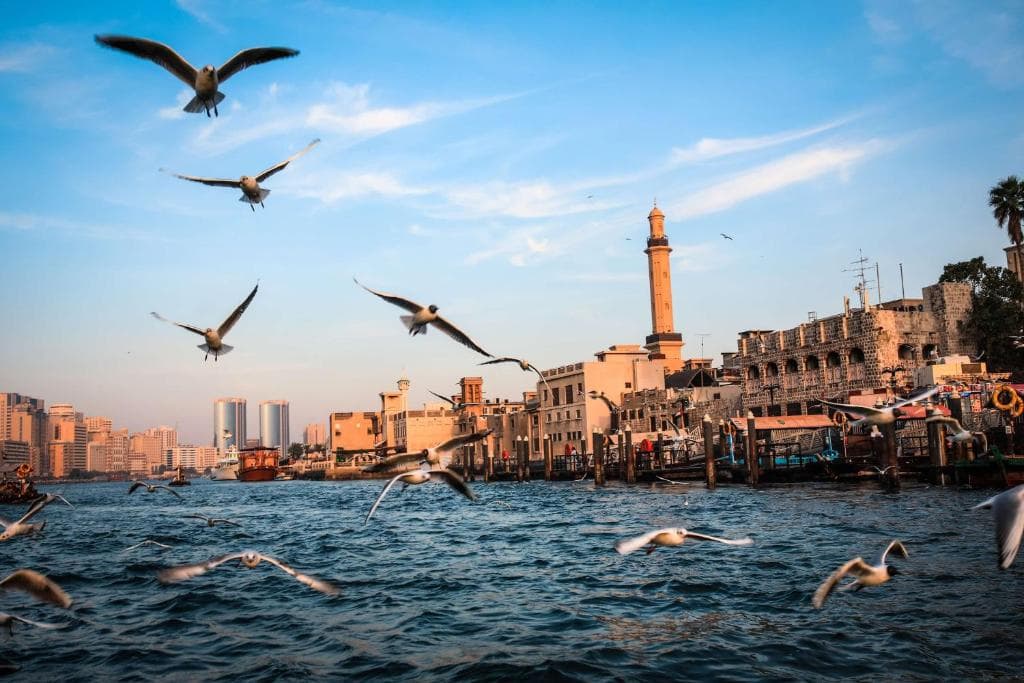 Hotel Rove City Centre, Deira - 9