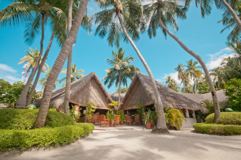 Sejur Maldive - Fihalhohi Island Resort - 7