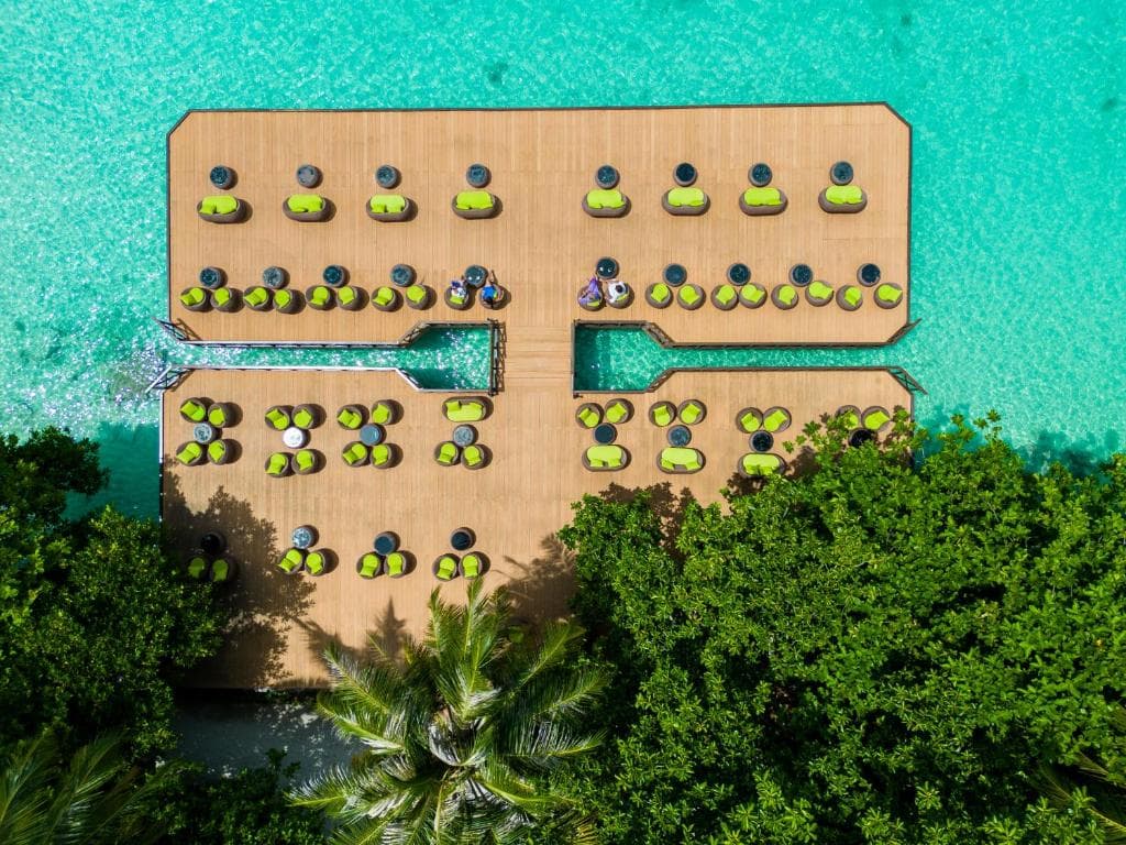 Sejur Maldive - Fihalhohi Island Resort - 13