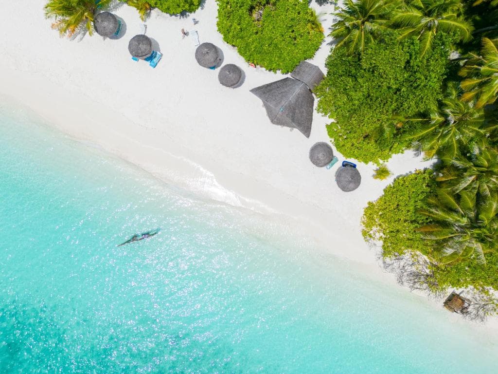 Sejur Maldive - Fihalhohi Island Resort - 18