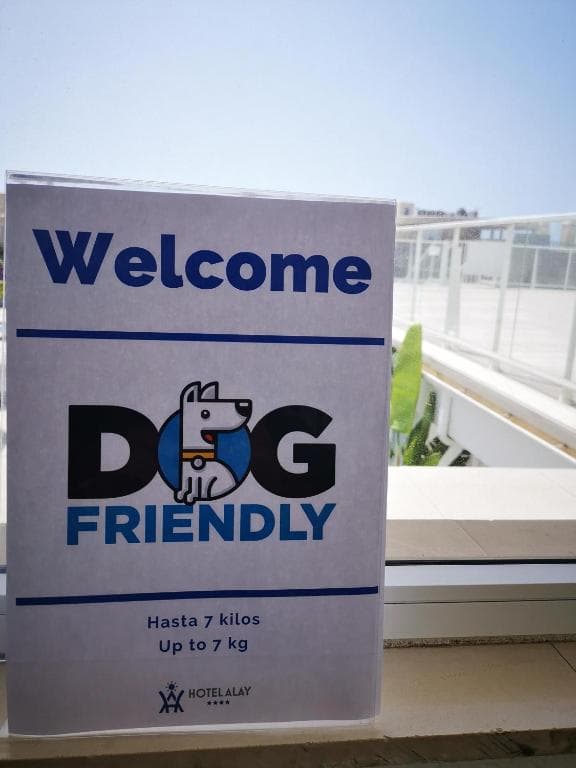 Hotel Alay - Adults Only Recommended - 9