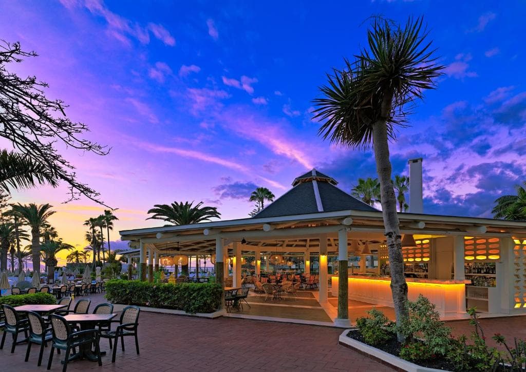 Hotel H10 Las Palmeras. - 8
