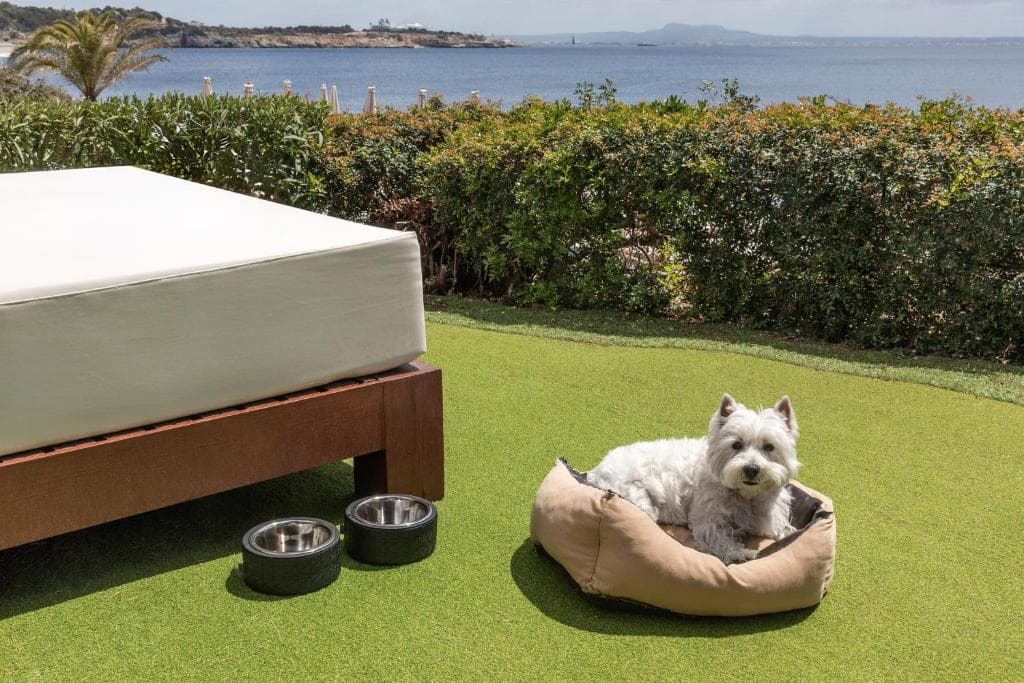 Hotel de Mar Gran Meliá - Adults Only - The Leading Hotels of the World - 21