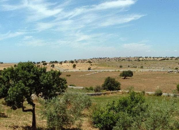 Casato Licitra - 30