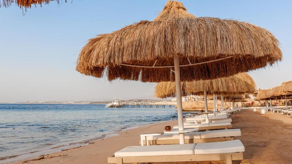 Sunrise Remal Beach Resort (Ex Melton Tiran) - 36
