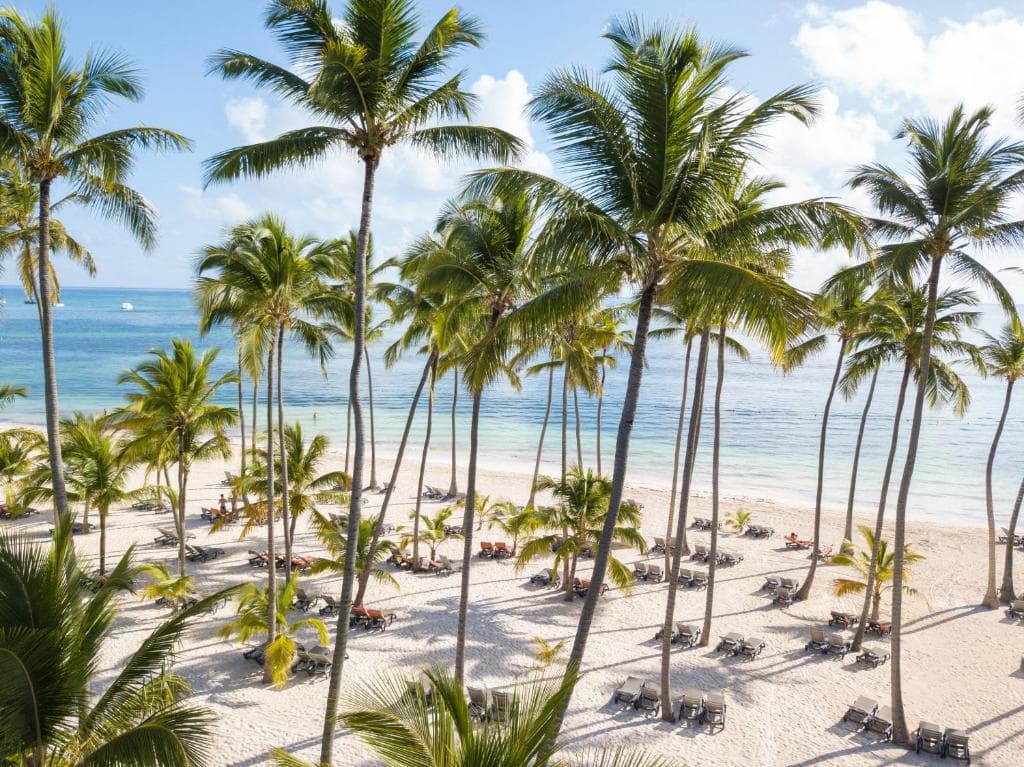 Barcelo Bavaro Beach - Adults Only - 16