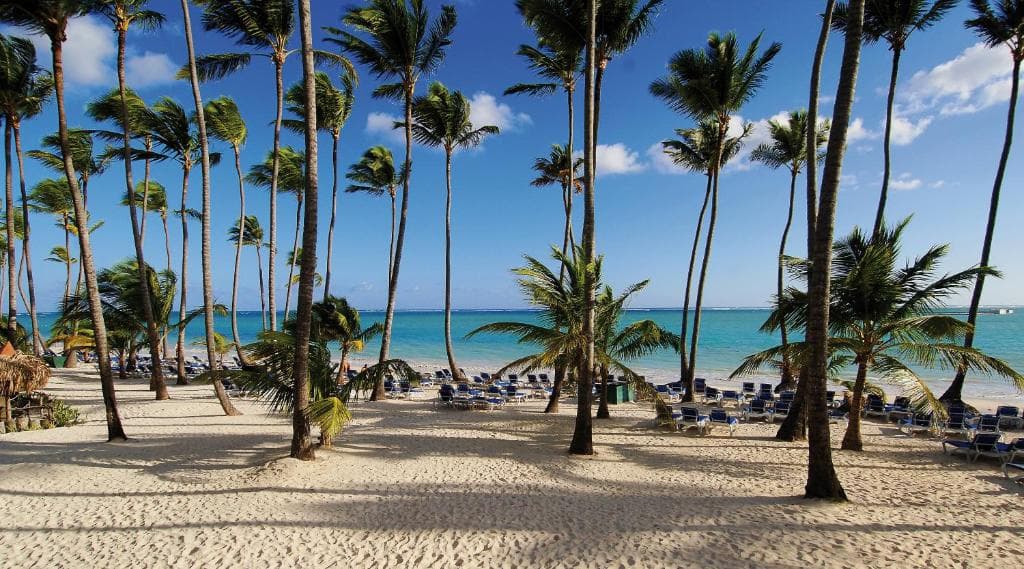 Barcelo Bavaro Beach - Adults Only - 34