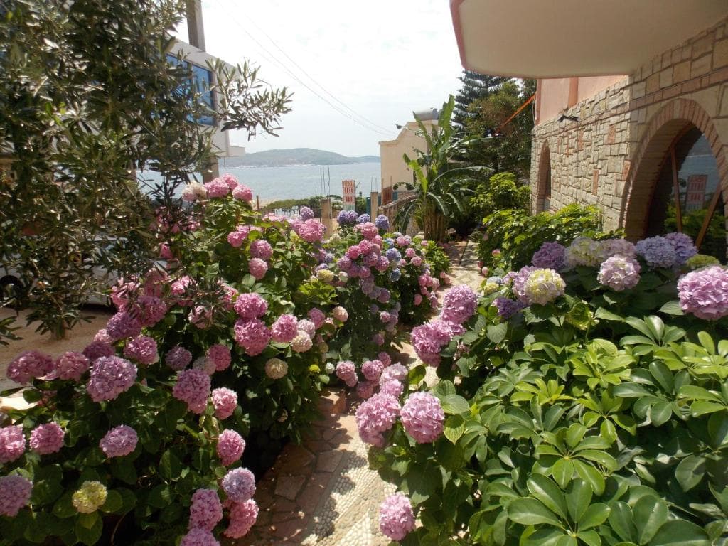 Hotel Piccolino - 5