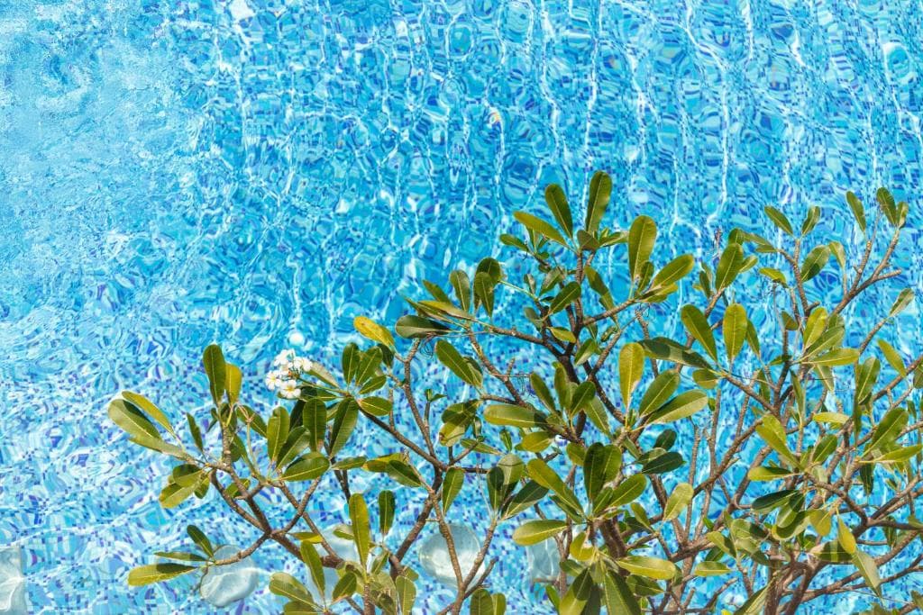 Baan Laimai Beach Resort & Spa - 37