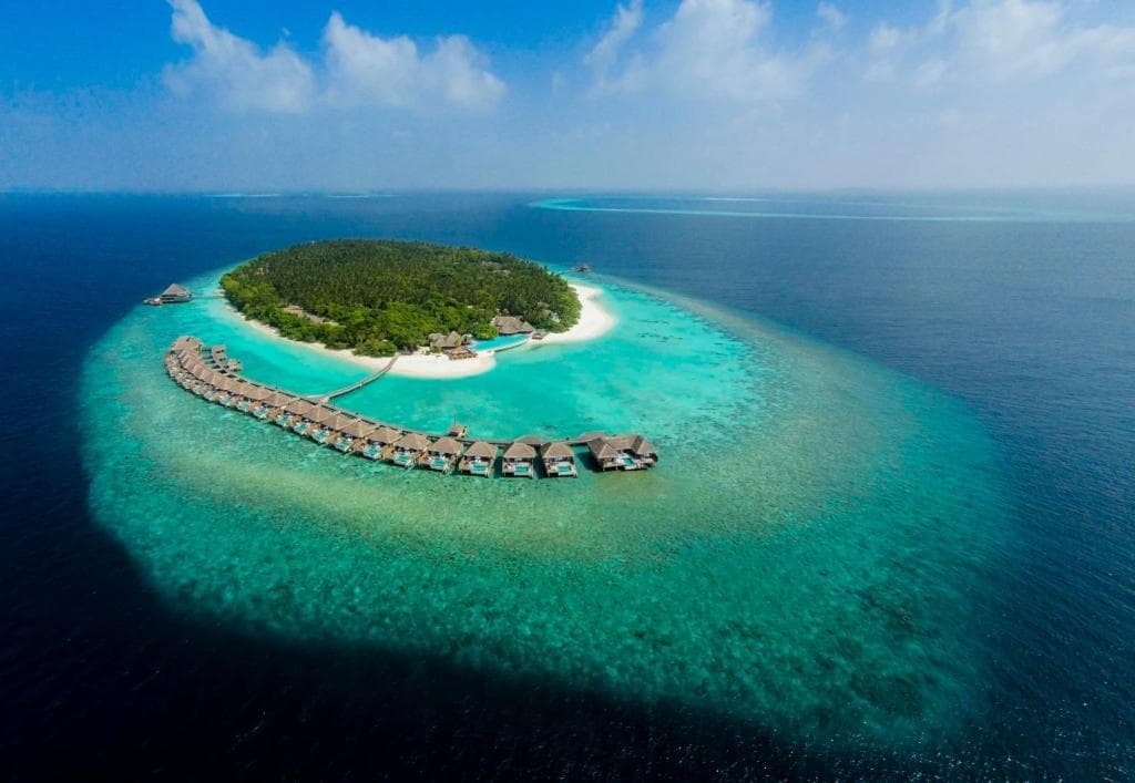 Dusit Thani Resort Maldives - 1