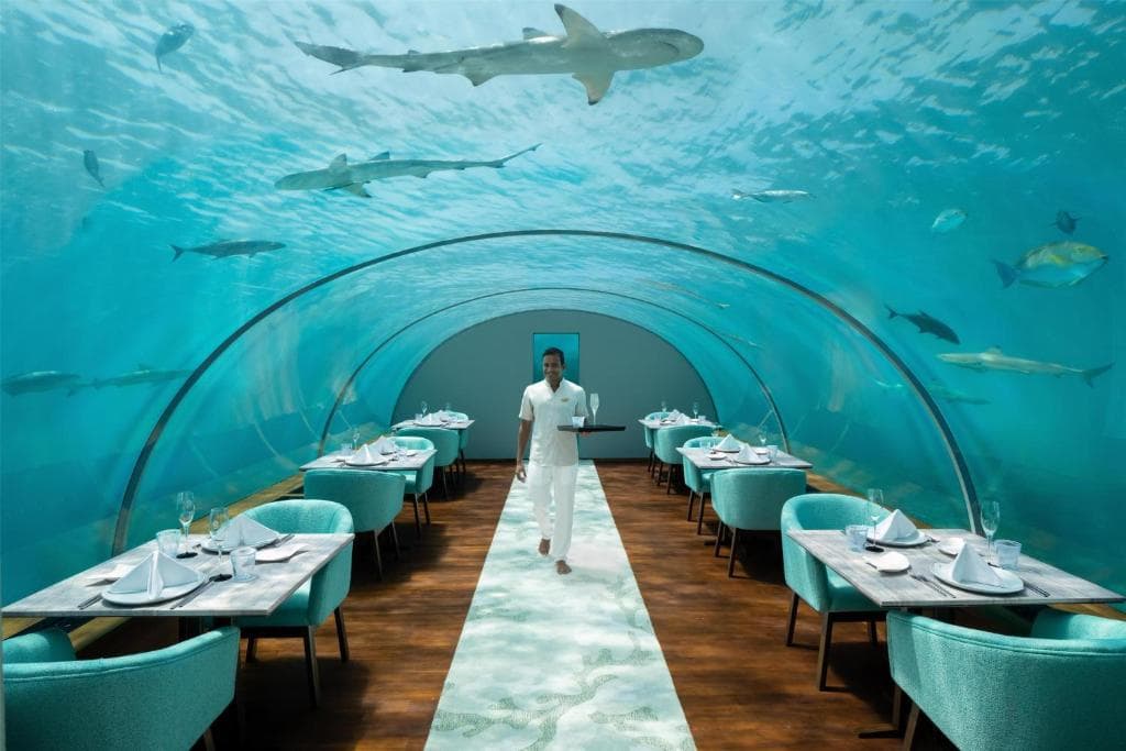 Conrad Maldives Rangali Island - 2